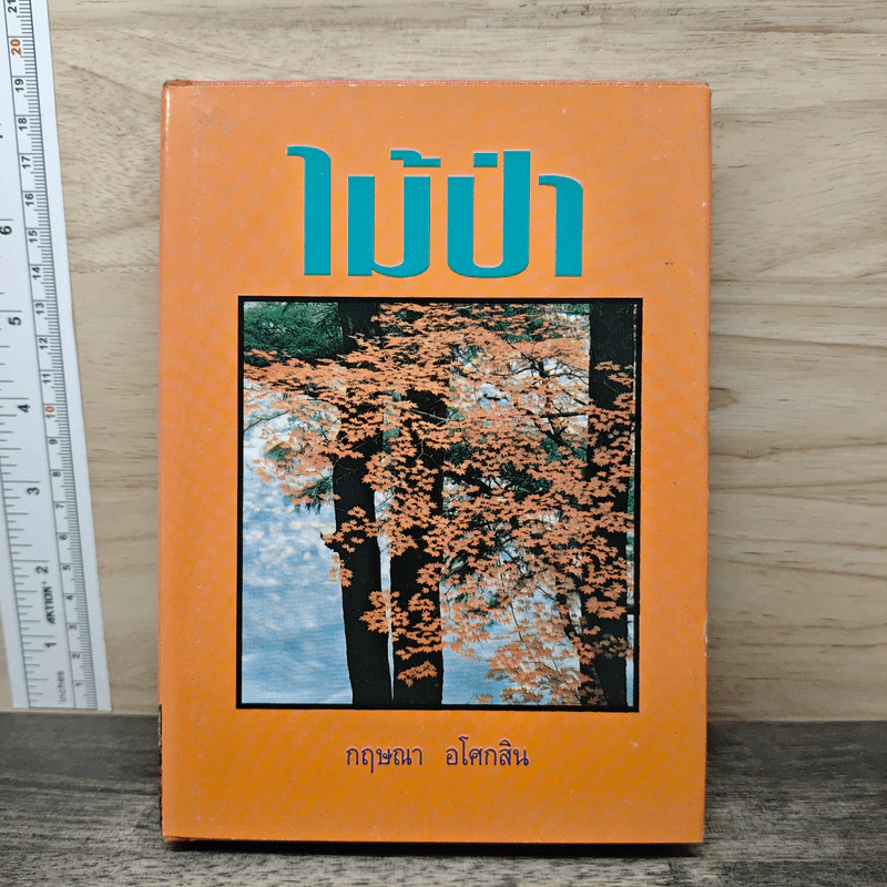 ไม้ป่า - กฤษณา อโศกสิน รูปที่ 1