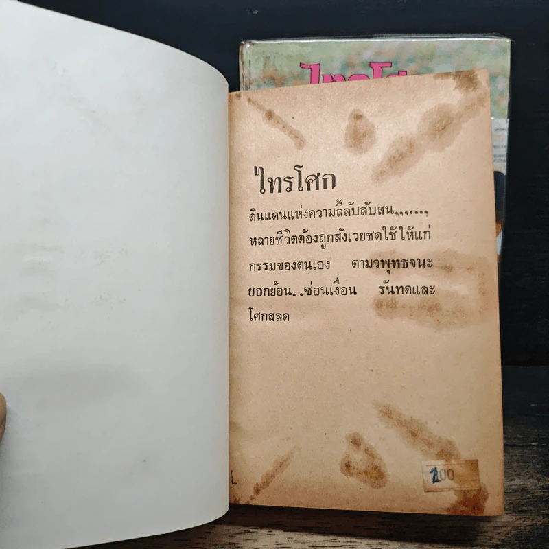ไทรโศก 2 เล่มจบ - จำลักษณ์ รูปที่ 6