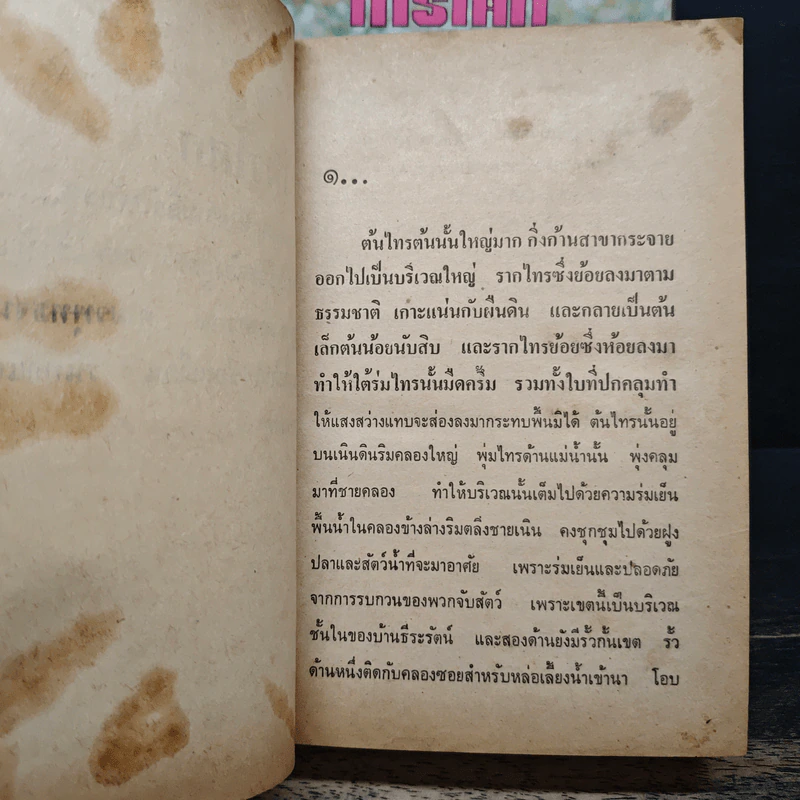 ไทรโศก 2 เล่มจบ - จำลักษณ์ รูปที่ 7