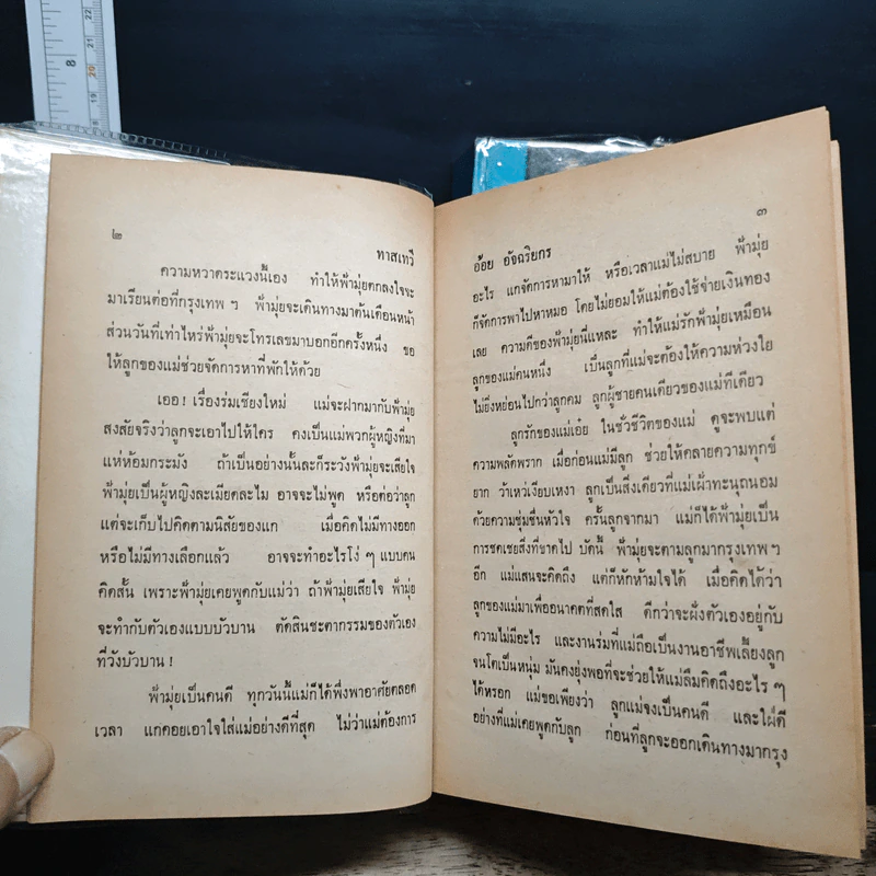 ทาสเทวี 2 เล่มจบ - อ้อย อัจฉริยะกร รูปที่ 8