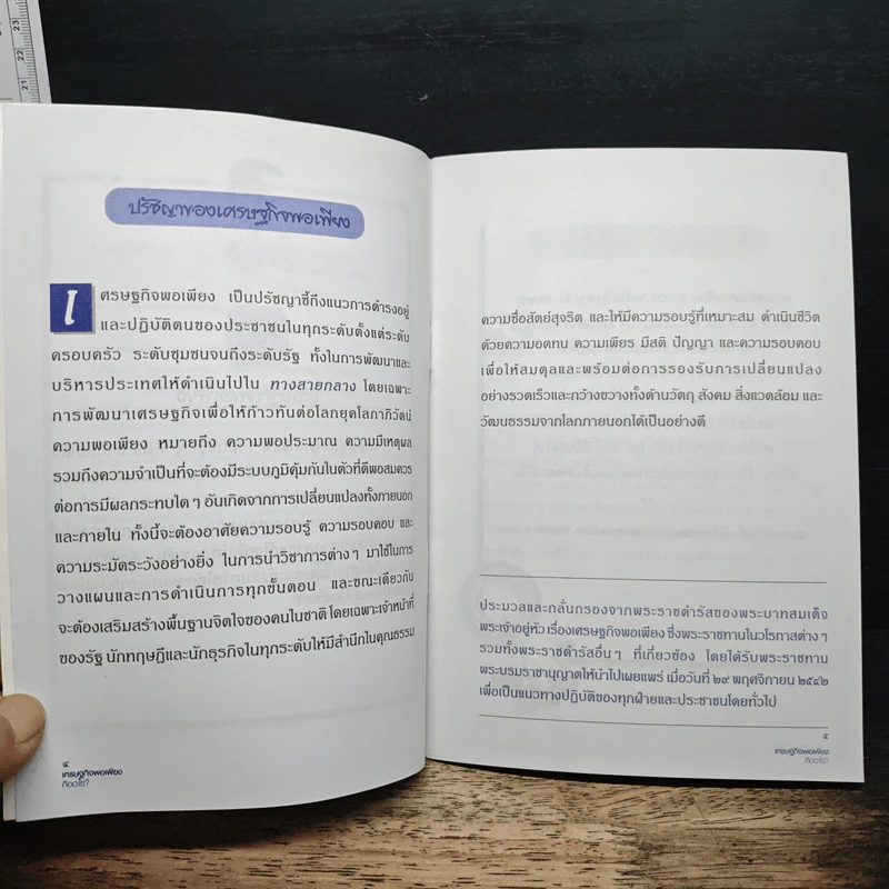 เศรษฐกิจพอเพียงคืออะไร? รูปที่ 8