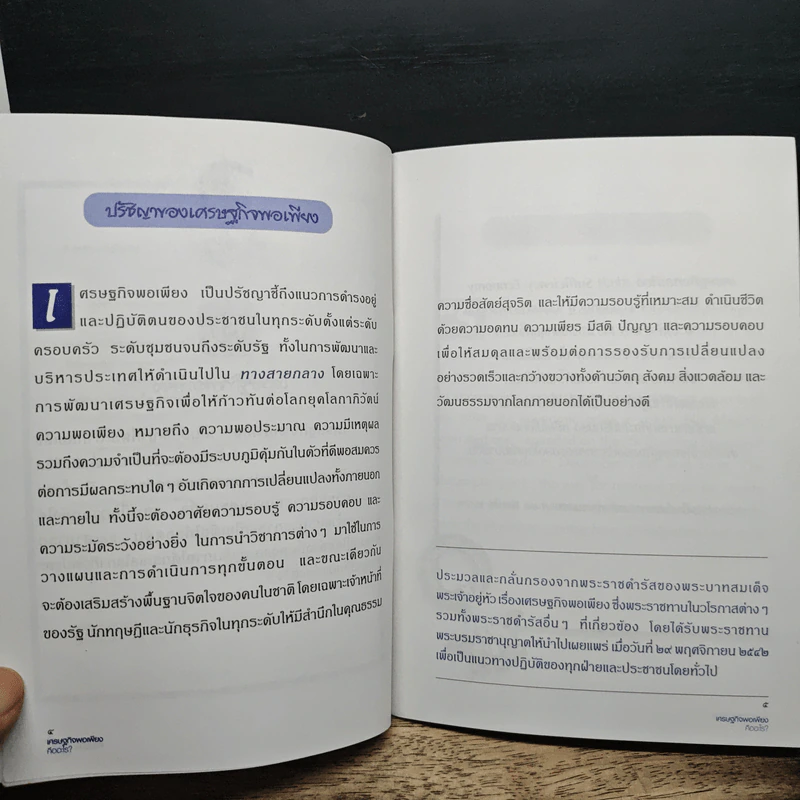 เศรษฐกิจพอเพียงคืออะไร? รูปที่ 8
