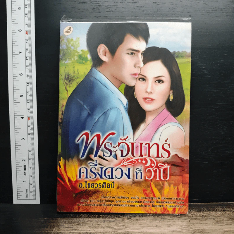พระจันทร์ครึ่งดวงที่วาปี - ไชยวรศิลป์ รูปที่ 1
