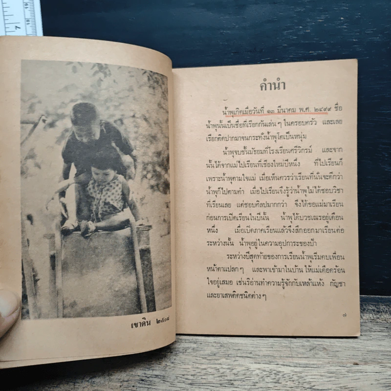 เรื่องของน้ำพุ รูปที่ 7
