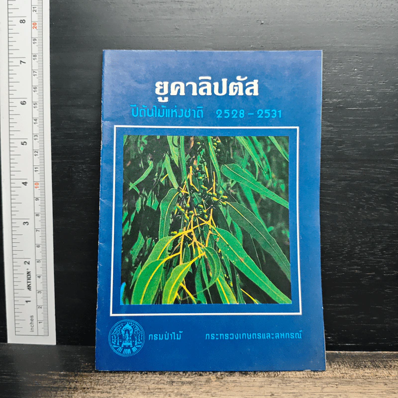 ยูคาลิปตัส ปีต้นไม้แห่งชาติ 2528-2531 รูปที่ 1
