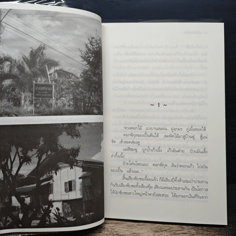 มนต์ซอยังไม่สิ้น - อ.ไชยวรศิลป์ รูปที่ 7