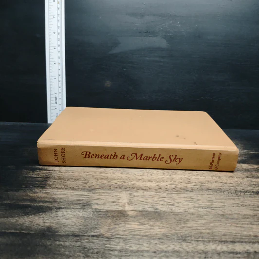 Beneath a Marble Sky: A Novel of the Taj Mahal - John Shors รูปที่ 4