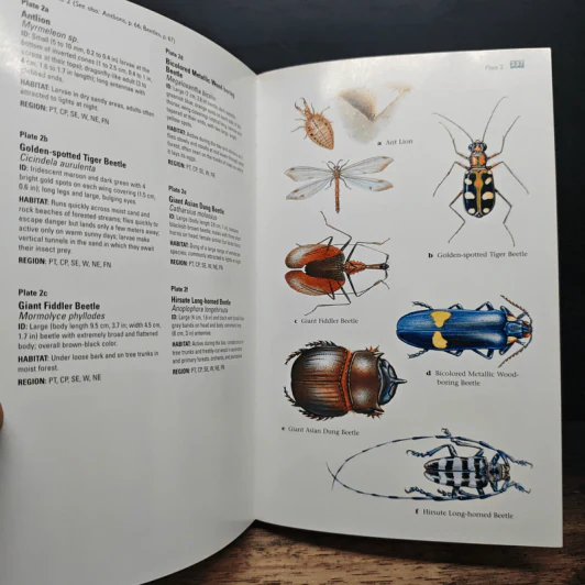 Thailand Traveller's Wildlife Guides - David L. Pearson รูปที่ 10