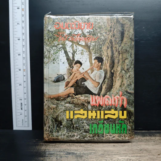 แผลเก่า แสนแสบ เกวียนหัก - ไม้ เมืองเดิม รูปที่ 1