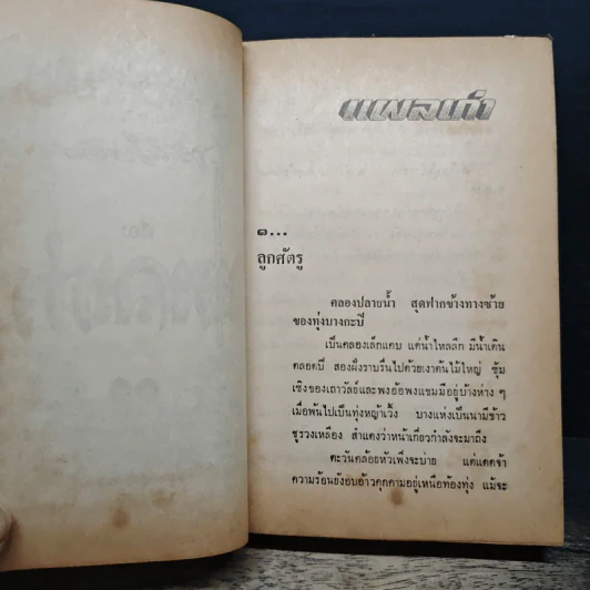 แผลเก่า แสนแสบ เกวียนหัก - ไม้ เมืองเดิม รูปที่ 10
