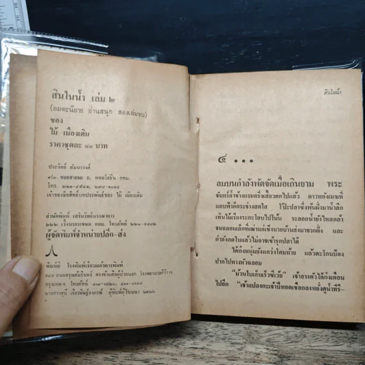 สินในน้ำ - ไม้เมืองเดิม รูปที่ 8