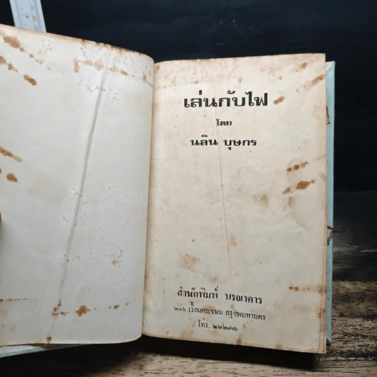 เล่นกับไฟ - นลิน บุษกร รูปที่ 6