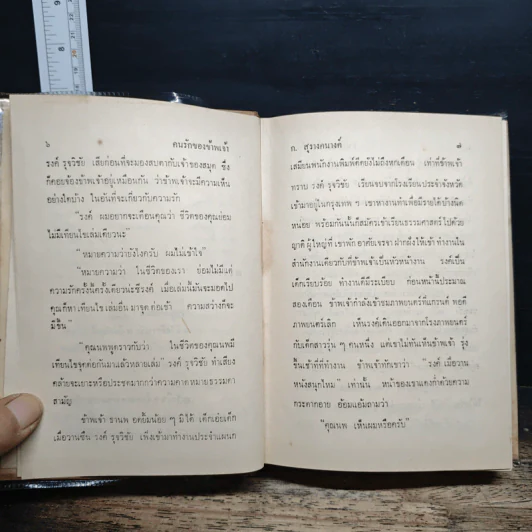 คนรักของข้าพเจ้า - ก.สุรางคนางค์ รูปที่ 8