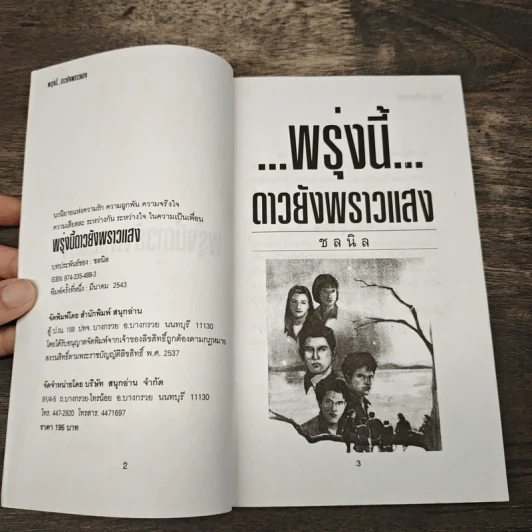 พรุ่งนี้ ดาวยังพราวแสง - ชลนิล รูปที่ 5