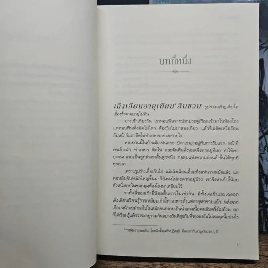นิยายวาย ลิ่วเหยา เล่ม 1-2 - Priest (พีต้า) รูปที่ 7