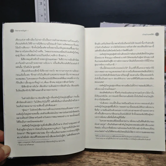 รัชทายาทบัญชา 2 เล่มจบ - ม่านม่านเหอฉีตัว รูปที่ 8