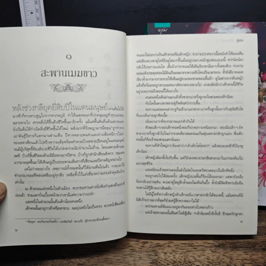 ฉงจื่อลิขิตหวนรัก 2 เล่มจบ - สู่เค่อ (Shu Ke) รูปที่ 8