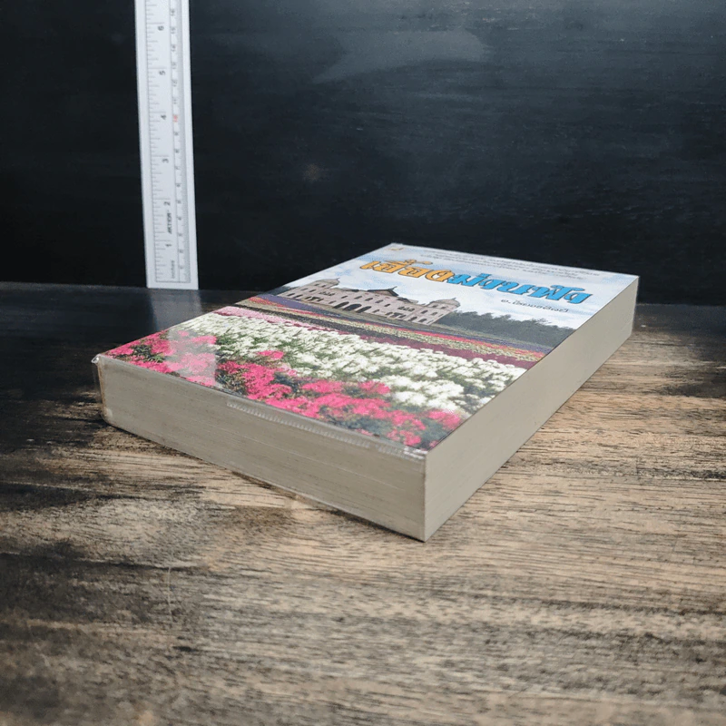 เอื้องม่านฟัา - อ.ไชยวรศิลป์ รูปที่ 4