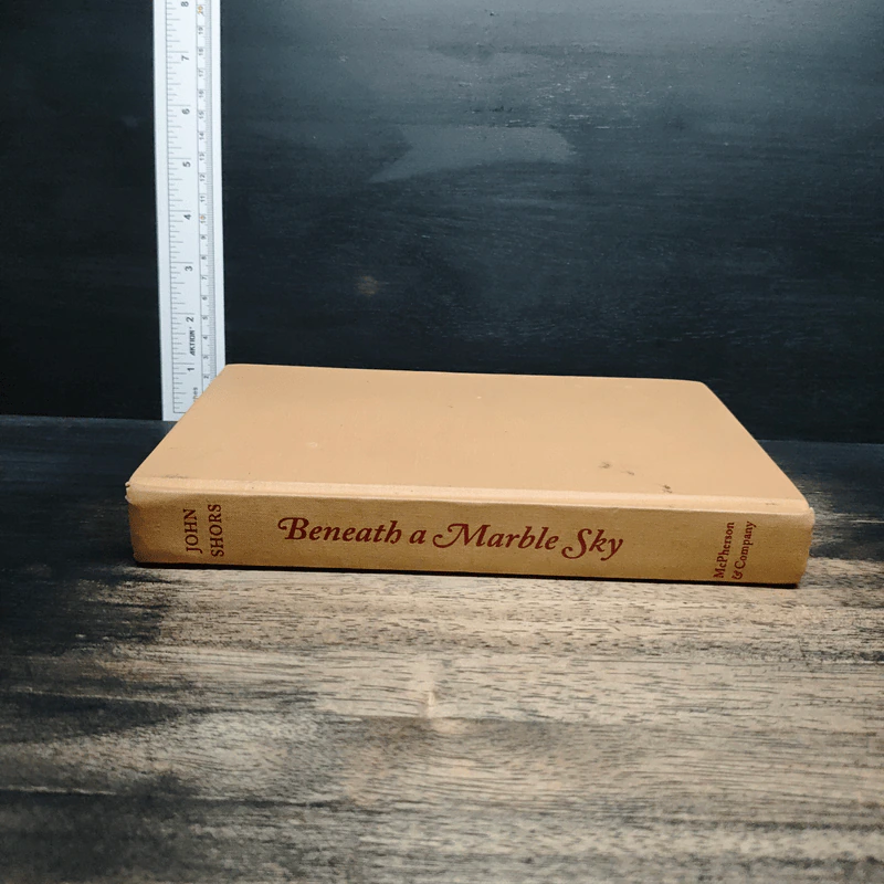 Beneath a Marble Sky: A Novel of the Taj Mahal - John Shors รูปที่ 4