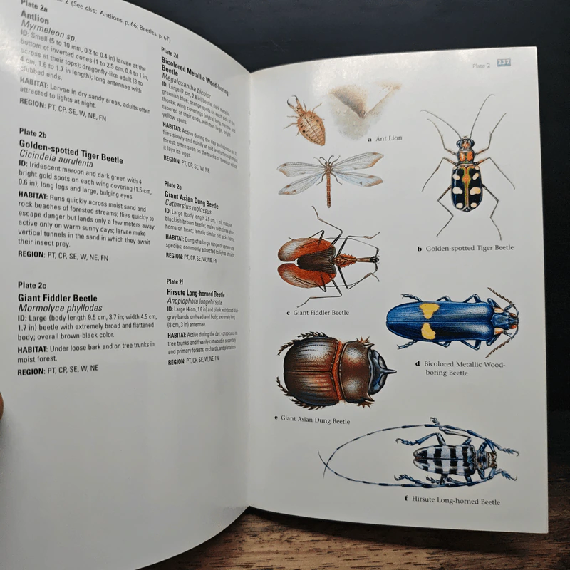 Thailand Traveller's Wildlife Guides - David L. Pearson รูปที่ 10
