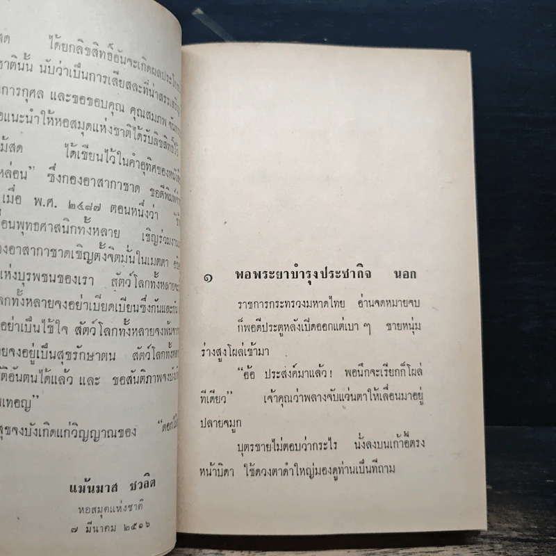 ศัตรูของเจ้าหล่อน - ดอกไม้สด รูปที่ 6