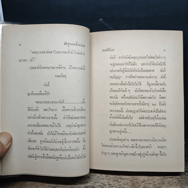 ศัตรูของเจ้าหล่อน - ดอกไม้สด รูปที่ 7