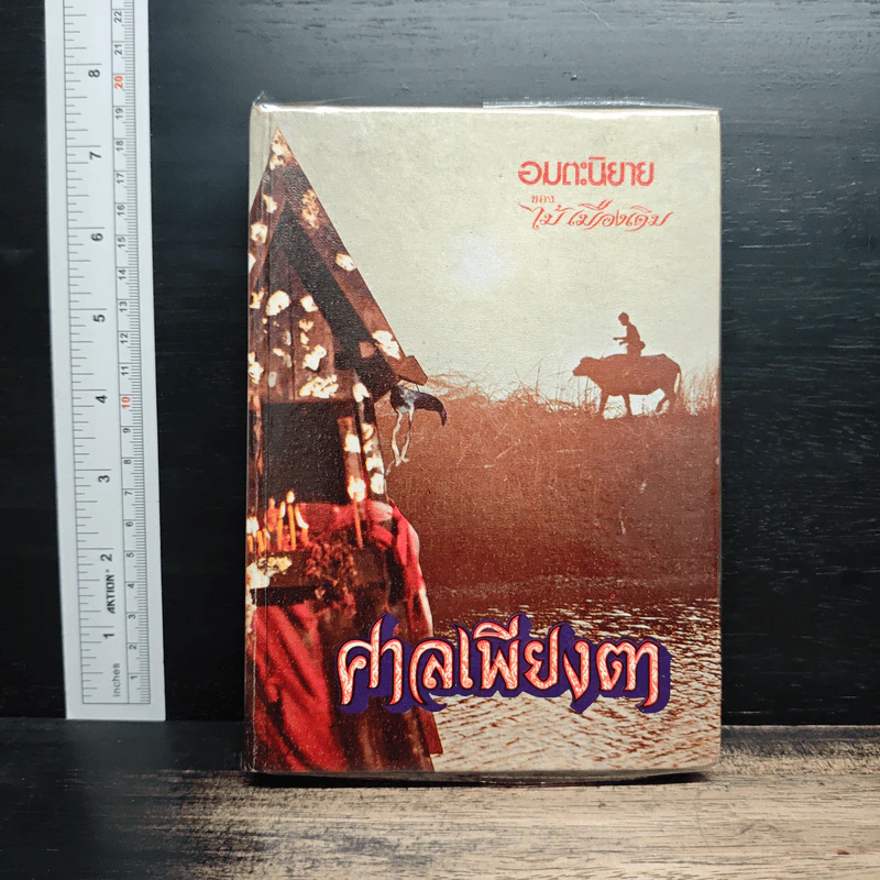 ศาลเพียงตา - ไม้เมืองเดิม รูปที่ 1