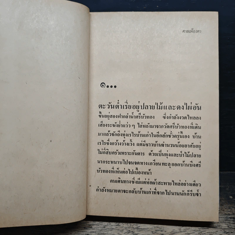 ศาลเพียงตา - ไม้เมืองเดิม รูปที่ 8