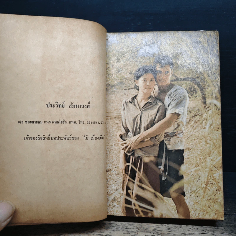 แผลเก่า แสนแสบ เกวียนหัก - ไม้ เมืองเดิม รูปที่ 8