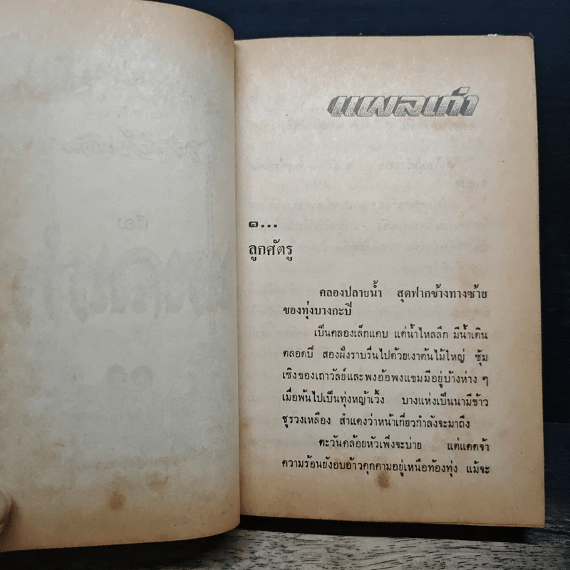 แผลเก่า แสนแสบ เกวียนหัก - ไม้ เมืองเดิม รูปที่ 10