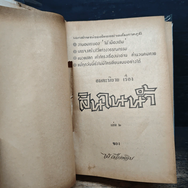 สินในน้ำ - ไม้เมืองเดิม รูปที่ 7