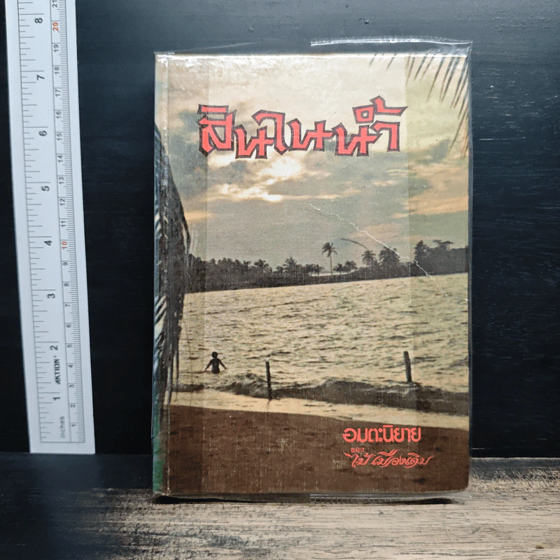 สินในน้ำ - ไม้เมืองเดิม รูปที่ 1