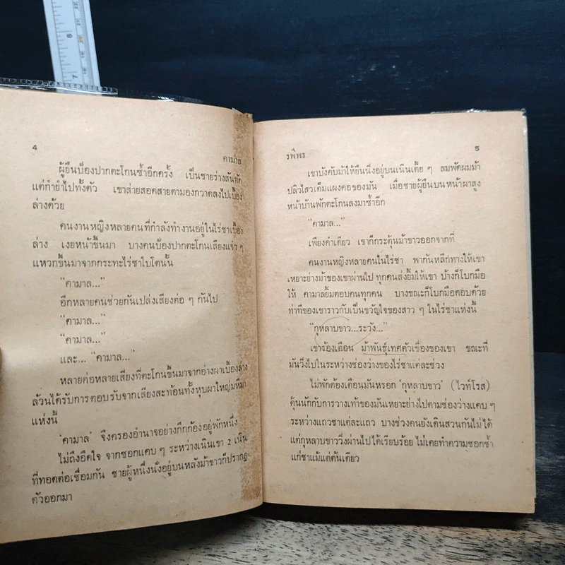 คามาล - รพีพร รูปที่ 8