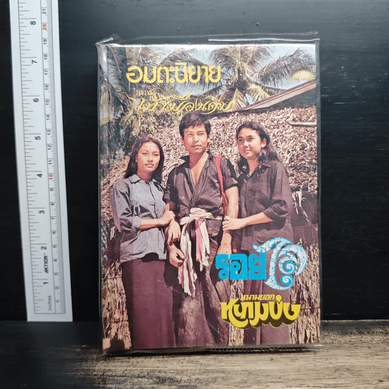 รอยไถ และ หนามยอกหนามบ่ง - ไม้เมืองเดิม รูปที่ 1