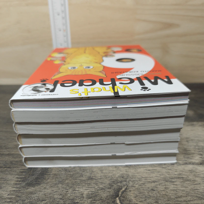 What's Michael? เหมียวไม่ธรรมดา เล่ม 1-6 - Makoto Kobayashi รูปที่ 5