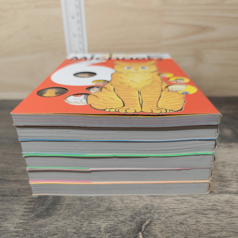 What's Michael? เหมียวไม่ธรรมดา เล่ม 1-6 - Makoto Kobayashi รูปที่ 3