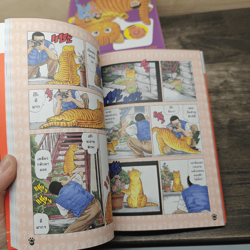What's Michael? เหมียวไม่ธรรมดา เล่ม 1-6 - Makoto Kobayashi รูปที่ 7