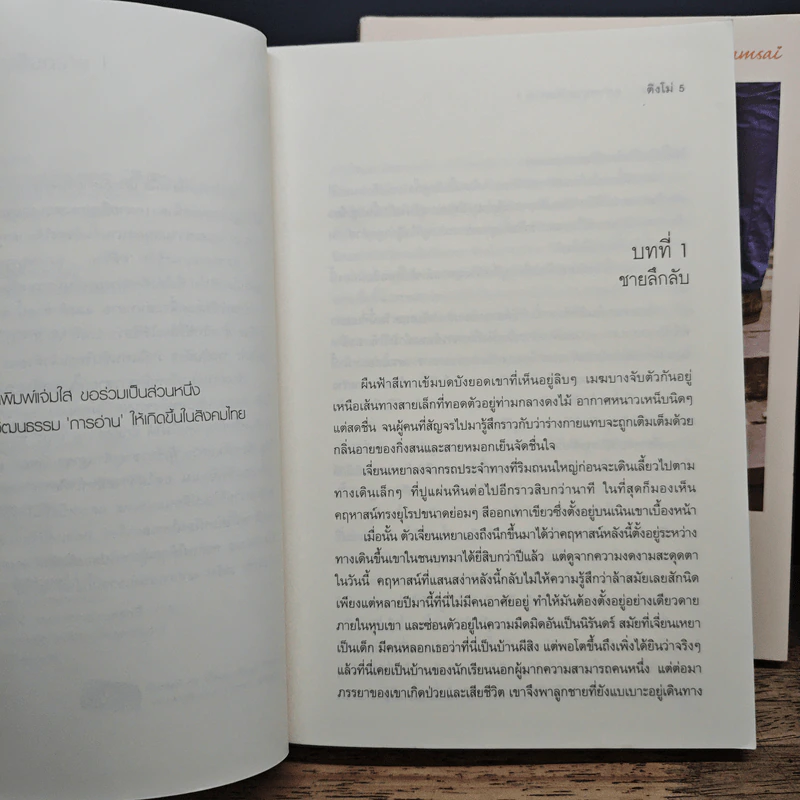 คดีร้ายสุภาพบุรุษอันตราย 2 เล่มจบ - ติงโม่ (Ding Mo), หยกชมพู รูปที่ 7