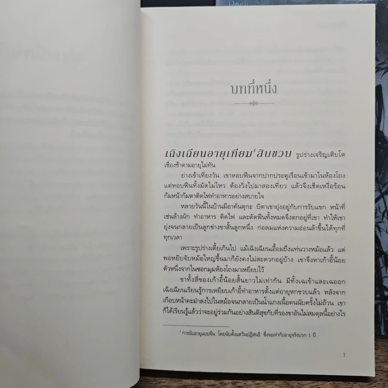 นิยายวาย ลิ่วเหยา เล่ม 1-2 - Priest (พีต้า) รูปที่ 7