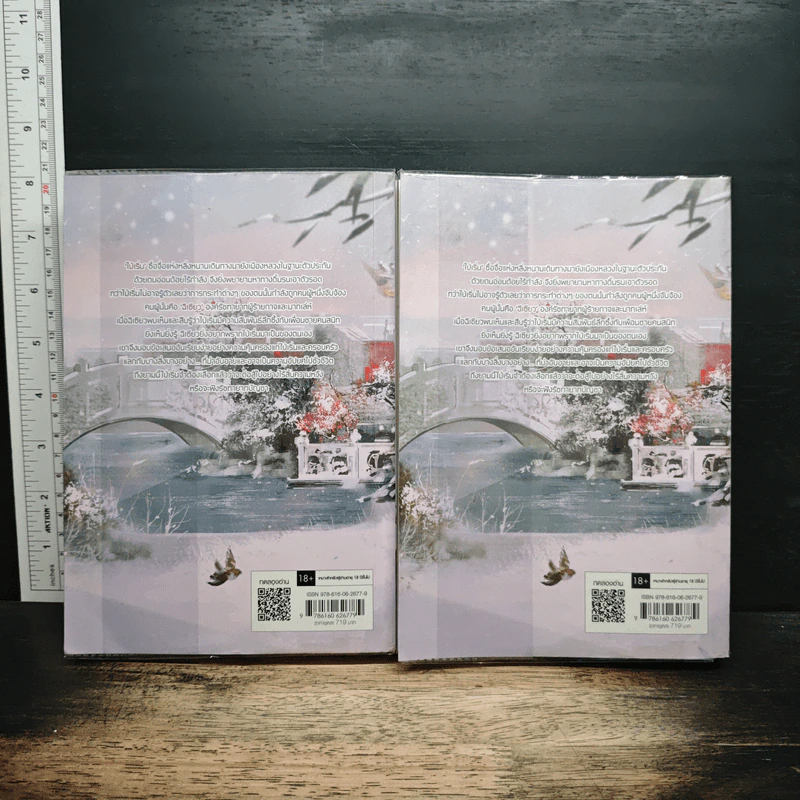 รัชทายาทบัญชา 2 เล่มจบ - ม่านม่านเหอฉีตัว รูปที่ 2