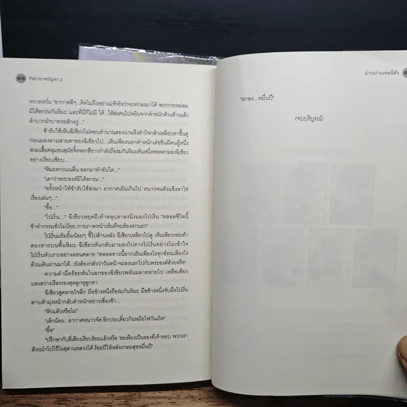 รัชทายาทบัญชา 2 เล่มจบ - ม่านม่านเหอฉีตัว รูปที่ 9
