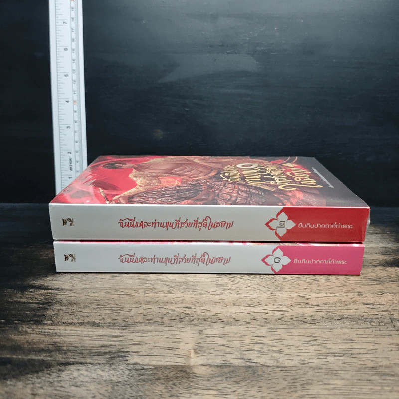 ฉันนี่แหละท่านขุนที่สวยที่สุดในสยาม เล่ม 1-2 - ยืนกินปากกาที่ท่าพระ รูปที่ 3