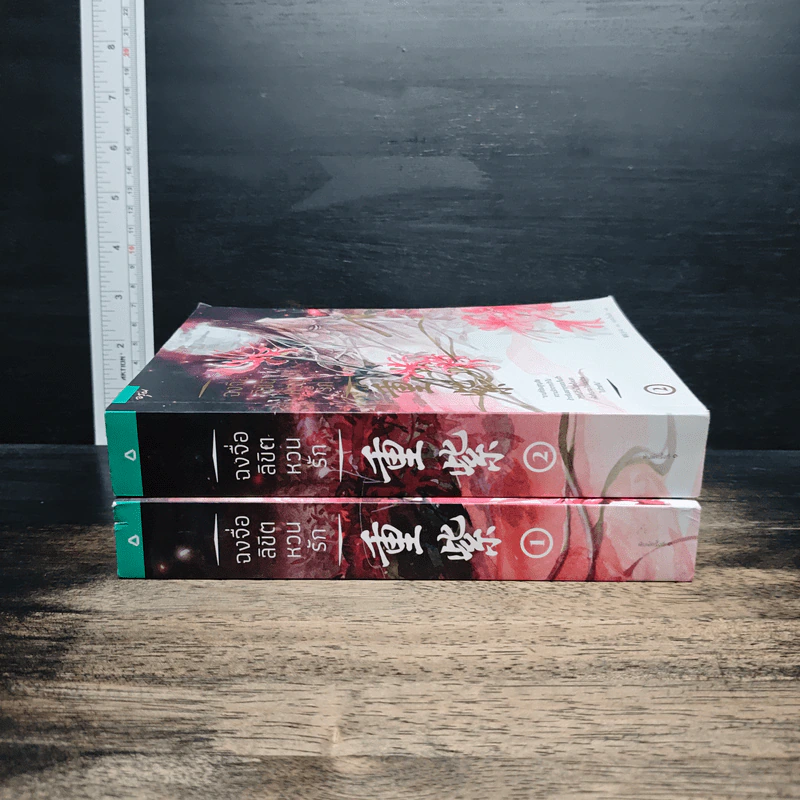 ฉงจื่อลิขิตหวนรัก 2 เล่มจบ - สู่เค่อ (Shu Ke) รูปที่ 3
