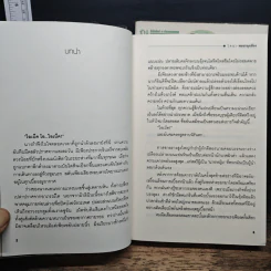 เหรียญนิรมิต 2 เล่มจบ - หมอกมุงเมือง รูปที่ 7