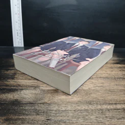 ลอดริ้วทินกร - theneoclassic รูปที่ 4