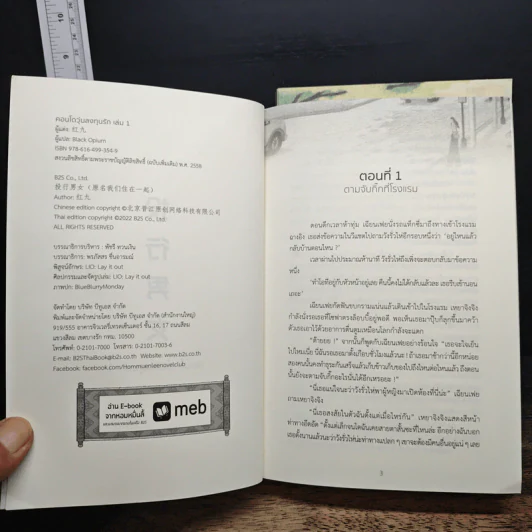 คอนโดวุ่นลงทุนรัก 2 เล่มจบ - Hong jiu รูปที่ 6