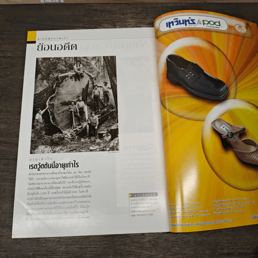 National Geographic ก.ย.2544 รูปที่ 8