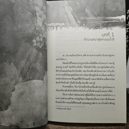 กุ่ยสิงเทียนเซี่ย 10 เล่มจบ - เอ่อร์หย่า, ชินชิน จอมยุทธ์หญิง รูปที่ 6