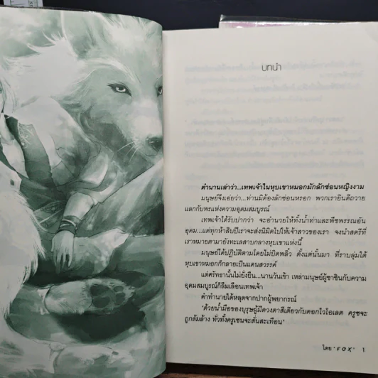 ความลับในหุบเขาหมอก 2 เล่มจบ - Fox รูปที่ 7