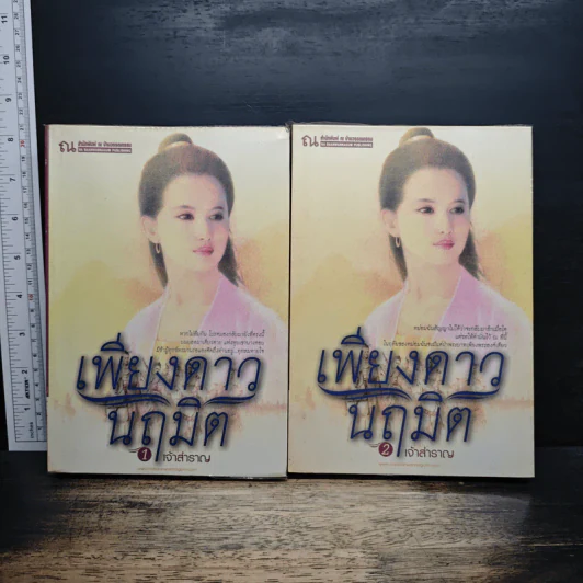 เพียงดาวนฤมิต 2 เล่มจบ - เจ้าสำราญ รูปที่ 1